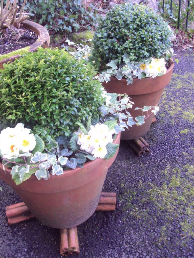 Woodlands Bed and Breakfast Looe Buitenkant foto